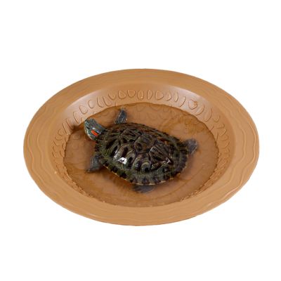 Turtle Feeding Dish