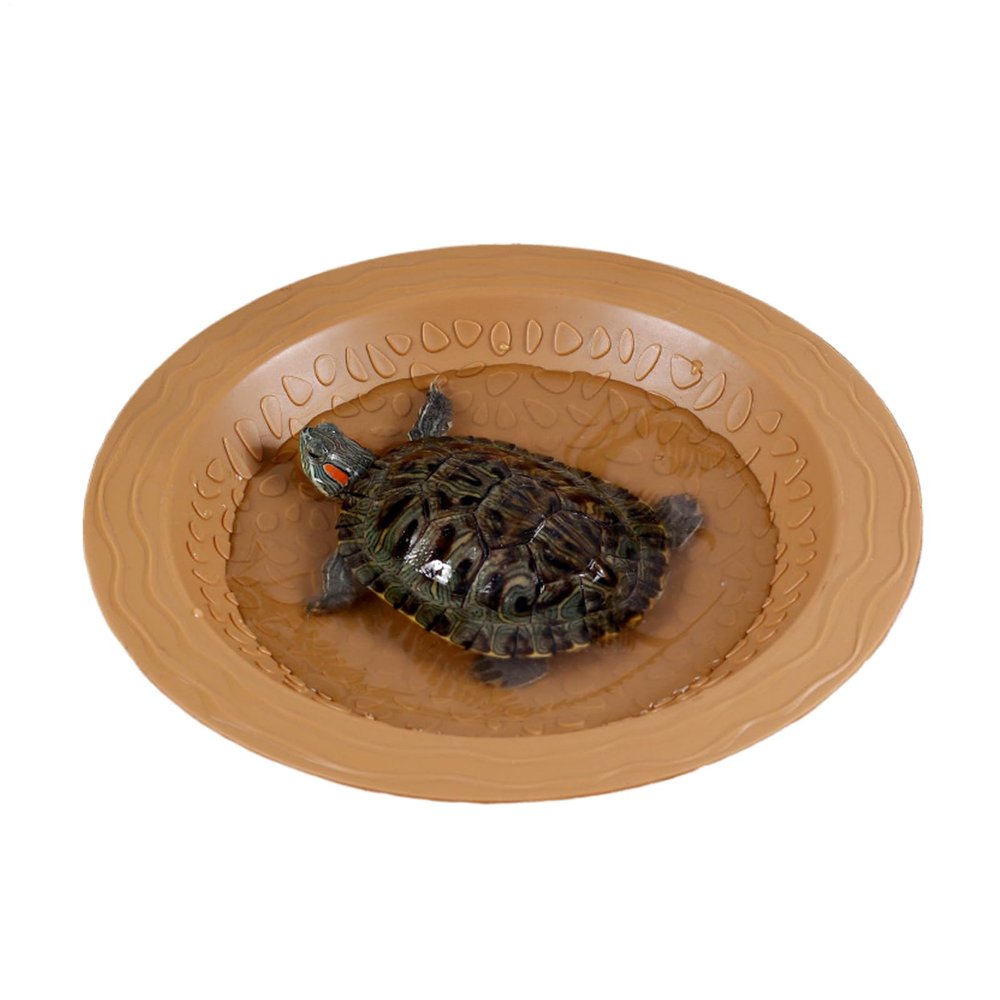 Turtle Feeding Dish