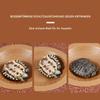 Turtle Feeding Dish view 3