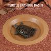 Turtle Feeding Dish view 4
