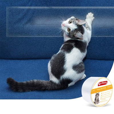 Transparent Double-Sided Cat Scratch Training Tape