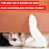 Transparent Double-Sided Cat Scratch Training Tape view 4