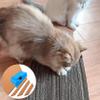 DIY Cat Scratcher Cutter Tool view 3