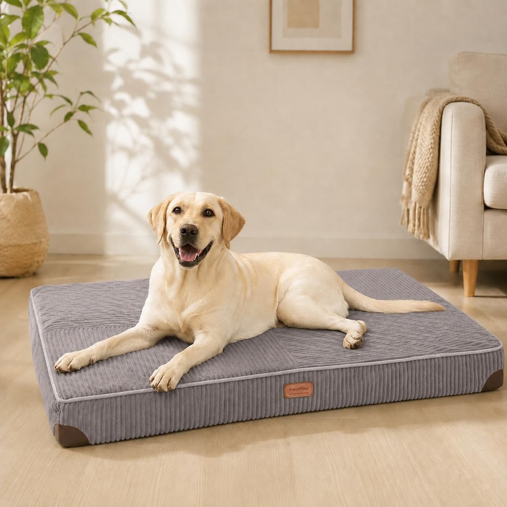 FUKUMARU Orthopedic Dog Bed, 91 x 56 x 9 cm, Gray
