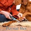 Dog Nail File and Grooming Set view 2