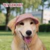 Dog Hat with Ear Openings view 2
