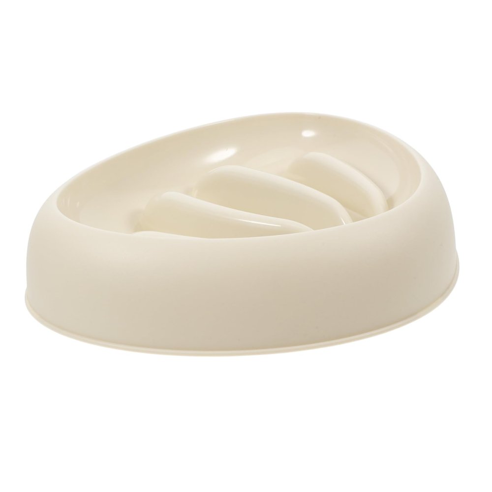 BESTonZON Slow Feeding Dog Bowl for Small to Medium Dogs