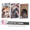INOOMP Hamster Tunnel Pet Toy with Safe PVC for Hedgehogs and Small Animals view 3
