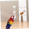 Toddmomy Automatic Bird Water Dispenser 300ml view 2