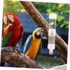 Toddmomy Automatic Bird Water Dispenser 300ml view 3