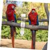 Toddmomy Automatic Bird Water Dispenser 300ml view 4