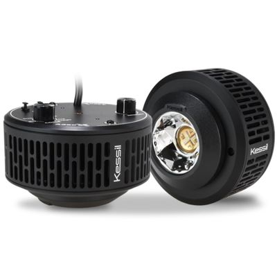 Kessil A360X Refugium LED Aquarium Light for Saltwater Aquariums
