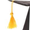 JOINPAYA 2-Pack Pet Graduation Hat view 3