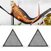 Baxnore Reptile Hammock view 2