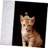 TOYANDONA Funny Straw Hat for Pets view 3