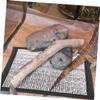 Toyvian Silver Heating Mat with Reflective Insulating Foil for Reptiles view 4