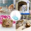 Automatic Pet Feeder for Cats view 2