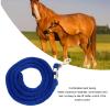 Pilipane Horse Lunge Line with Snap, Heavy-Duty Training Rope, 6.6 ft, Blue view 3