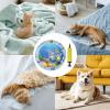 Inflatable Thick PVC Cat Water Mat with Pump view 4