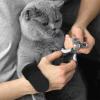 Cat Paw Covers, Non-Slip Breathable Mesh, Set of 4 view 2