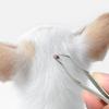 2-in-1 Stainless Steel Tick Removal Tool view 4