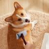 Dog Grooming Brush for Shedding and Detangling view 3