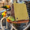 Lovebird Cage Accessory - Wicker Look Bird House view 3