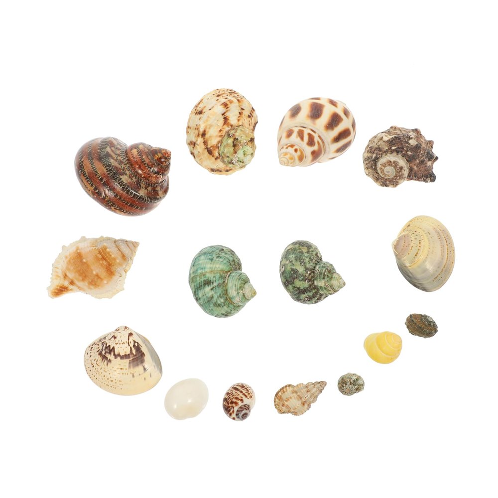 ULTECHNOVO Shell Accessories for Crafting
