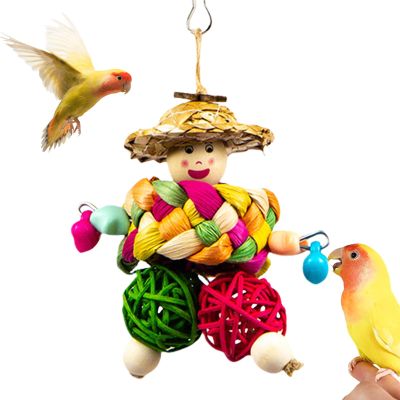 Generic Conure Toys