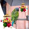 Generic Conure Toys view 2