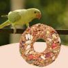 Parrot Toy for Budgies and Lovebirds view 3