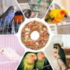 Parrot Toy for Budgies and Lovebirds view 4