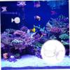 Toyvian 2-Pack Glass Tank Wall Feeder view 4