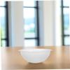 Round Transparent Plastic Wash Basin with Handle, 21 cm view 4