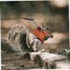 Mipcase Small Pet Harness and Leash Set view 4