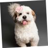IMIKEYA Pet Hair Ties - 20 Pack Random Colors view 4