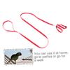 Toyvian Adjustable Pet Leash for Birds, Hamsters, Turtles, and Lizards, Red view 3