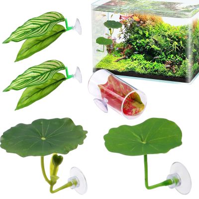 Betta Leaf Hammock, 5-Piece Set