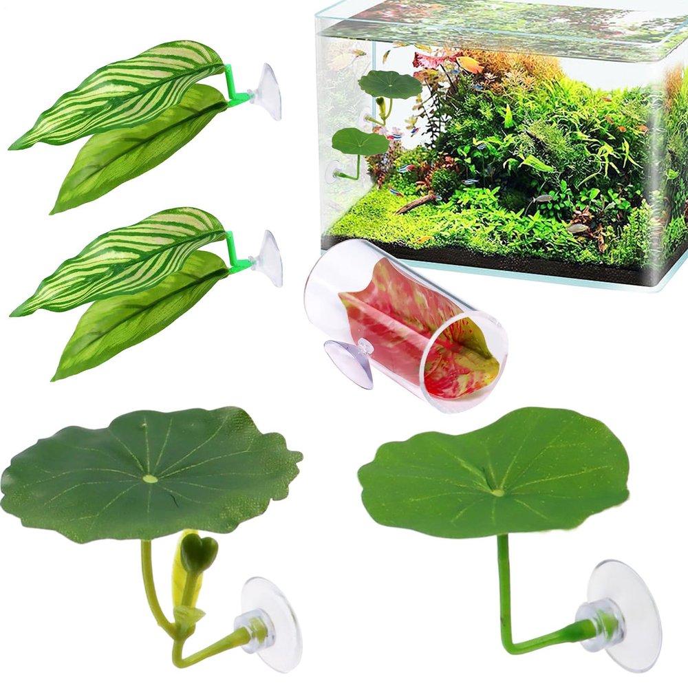 Betta Leaf Hammock, 5-Piece Set
