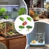 Betta Leaf Hammock, 5-Piece Set view 4