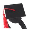 Abaodam Graduation Cap for Dogs and Cats view 3
