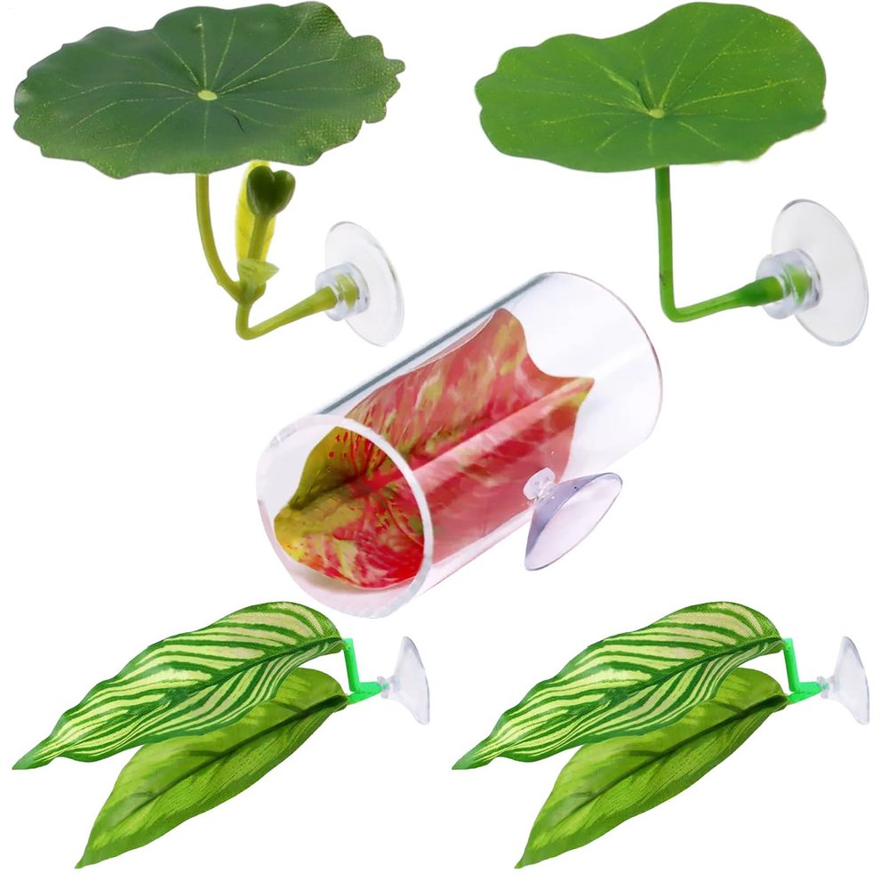 Betta Fish Floating Leaf Hammock