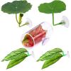 Betta Fish Floating Leaf Hammock view 1