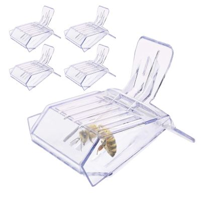 gifyym Beekeeping Clip - Queen Bee Cage Tool