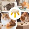 Raised Cat Bowls with Non-Slip Base view 4