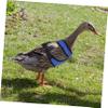 IMIKEYA Portable Chicken Harness view 4