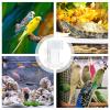Fish Feeding Tube for Aquarium Fish Food, Transparent view 4
