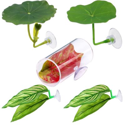 Betta Hammock Leaf - 5-Pack