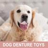 Dog Dentures - Fun Silicone Teeth view 3