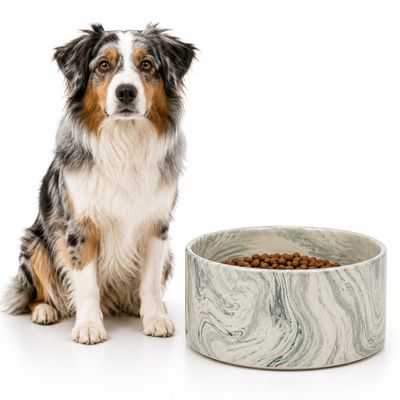 Flamingo Baron Ceramic Dog Bowl, Round, 750 ml, Green
